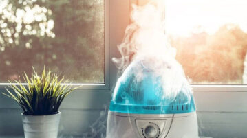 Best Humidifiers