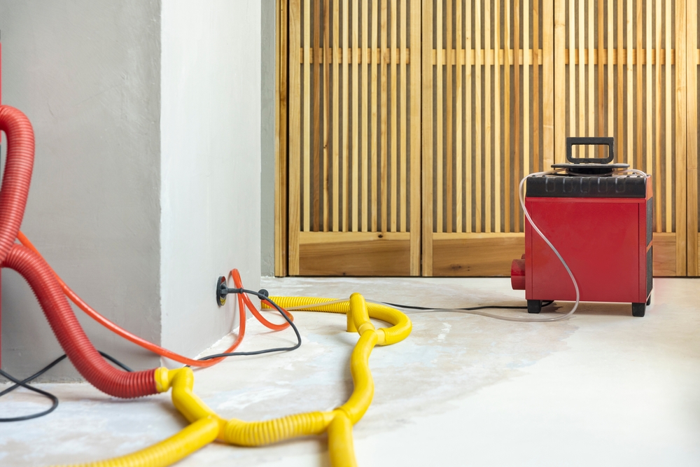 What is the Typical Cost for Water Damage Restoration? water damage restoration services